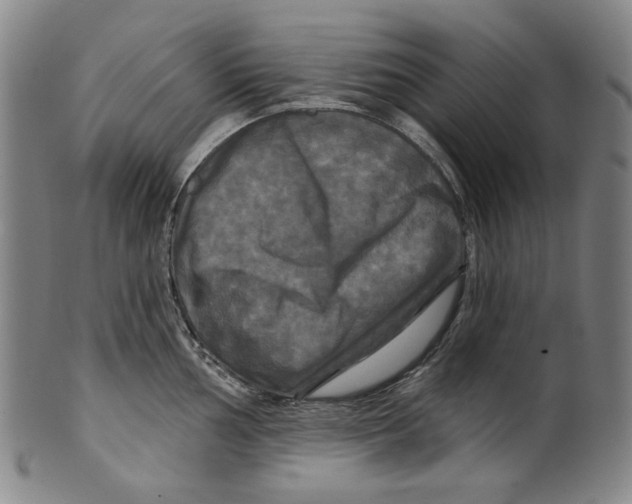 X0000099421002200806060951