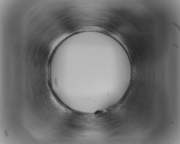X0000099421003200806060951
