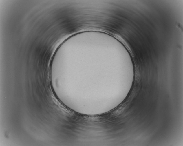 X0000099421004200806060951