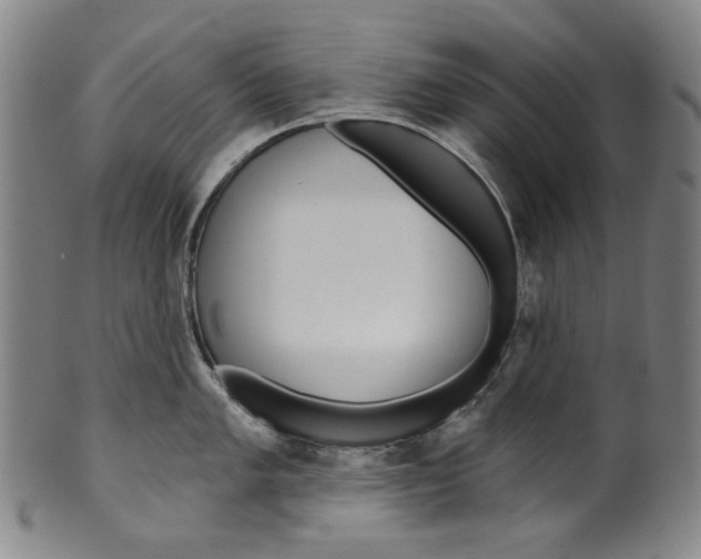 X0000099421005200806060951
