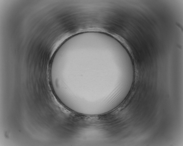 X0000099421006200806060951