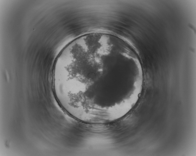 X0000099421007200806060951