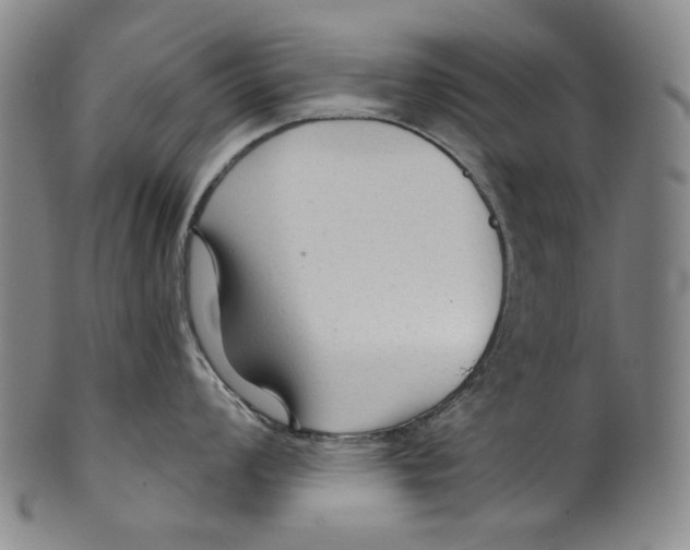 X0000099421008200806060951
