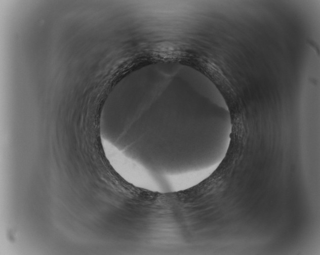 X0000099421009200806060950
