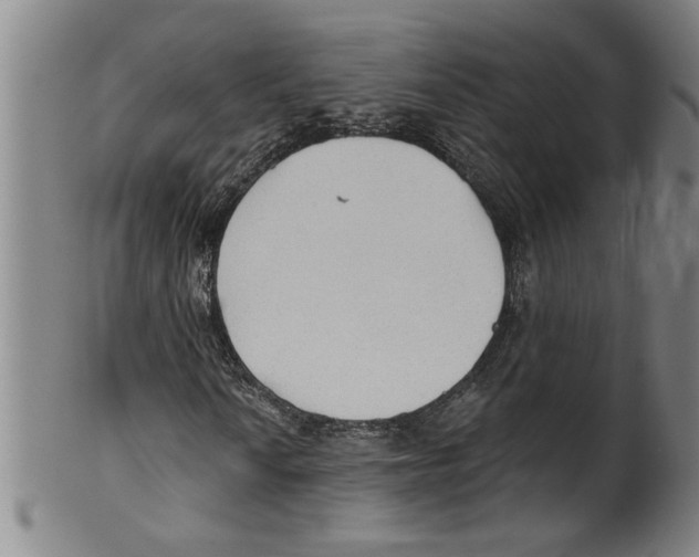 X0000099421010200806060950