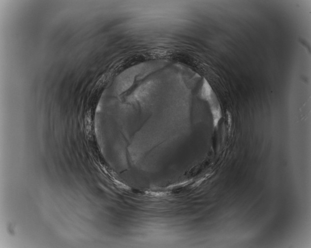 X0000099421011200806060950