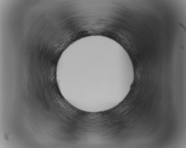 X0000099421012200806060950