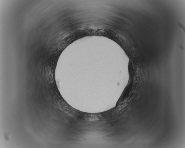X0000099421013200806060950