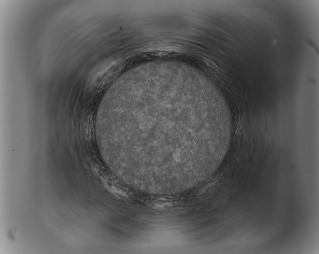 X0000099421014200806060950