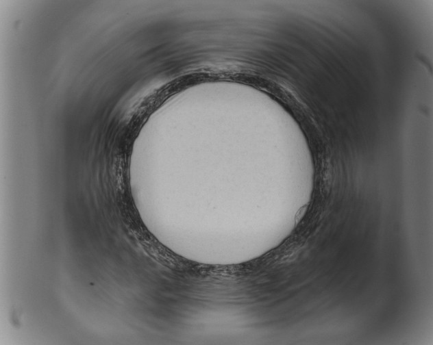 X0000099421016200806060950