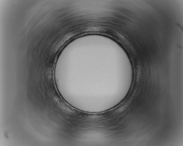 X0000099421017200806060950