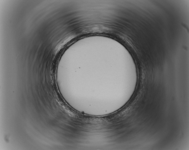 X0000099421018200806060950