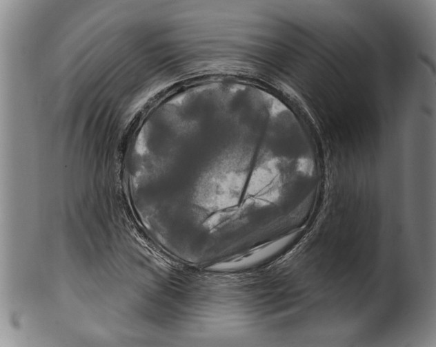 X0000099421019200806060950