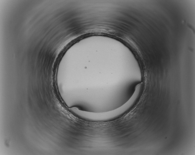 X0000099421020200806060950