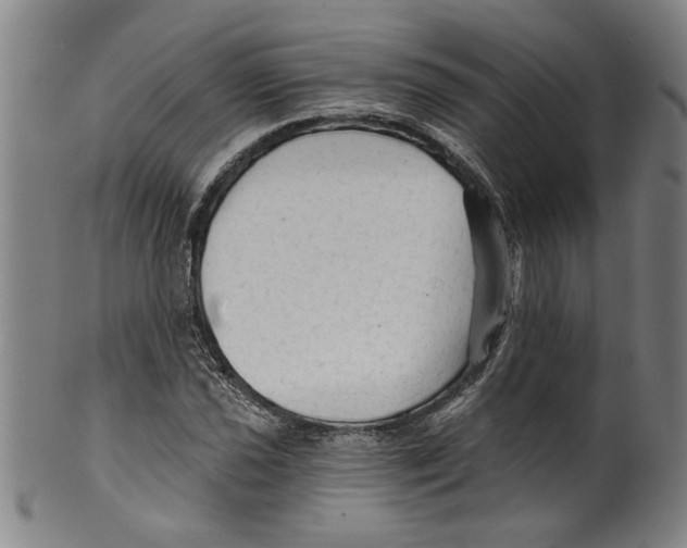 X0000099421021200806060950