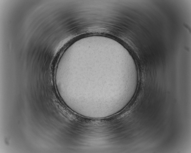 X0000099421022200806060950