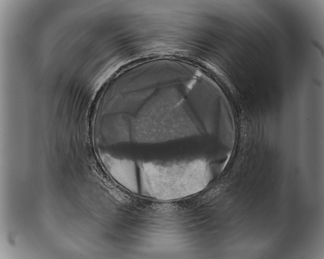 X0000099421023200806060950