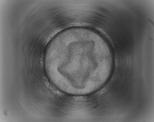 X0000099421025200806060950