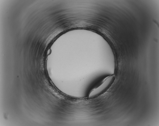 X0000099421026200806060950