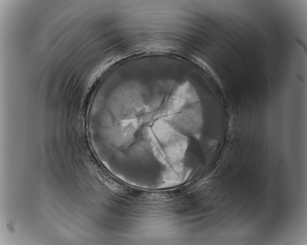 X0000099421027200806060950