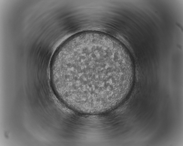 X0000099421028200806060950