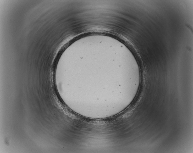 X0000099421029200806060950
