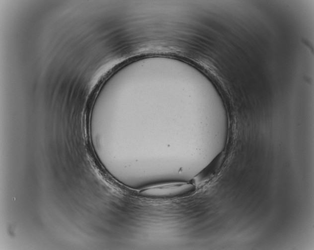 X0000099421030200806060950
