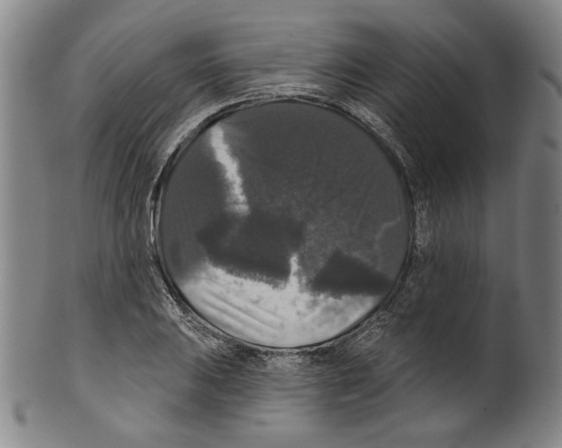 X0000099421031200806060950