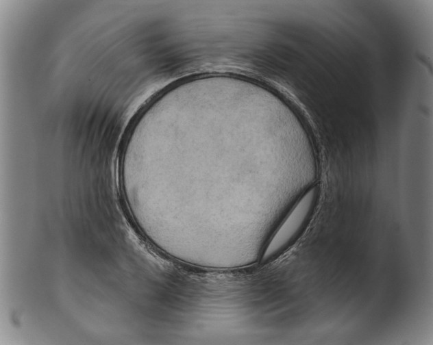 X0000099421032200806060950