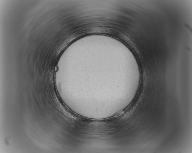 X0000099421033200806060950
