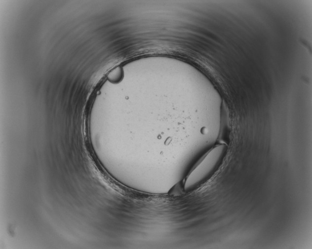 X0000099421034200806060950