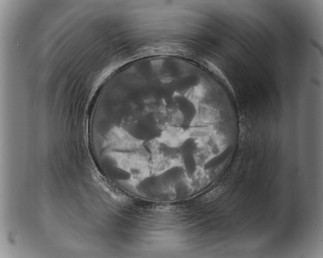 X0000099421035200806060950