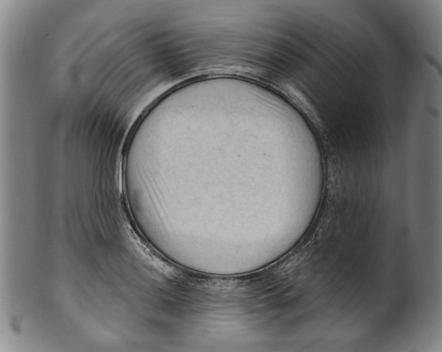 X0000099421036200806060950