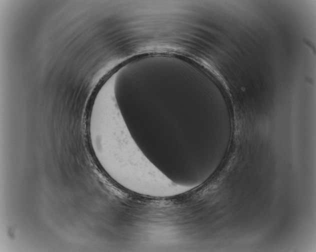 X0000099421037200806060950