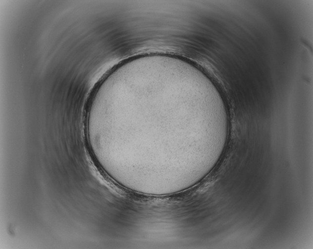 X0000099421038200806060950