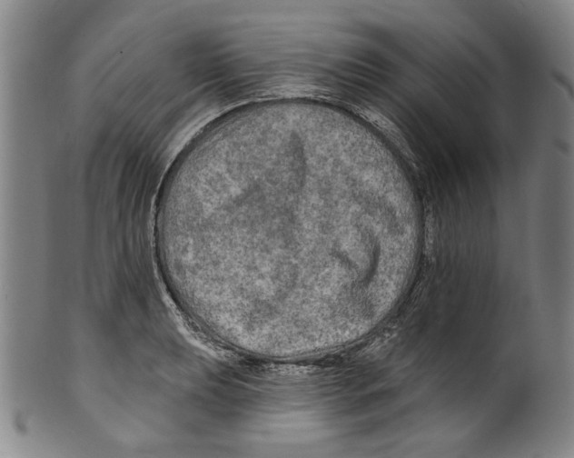 X0000099421039200806060950