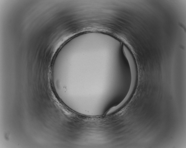 X0000099421040200806060950