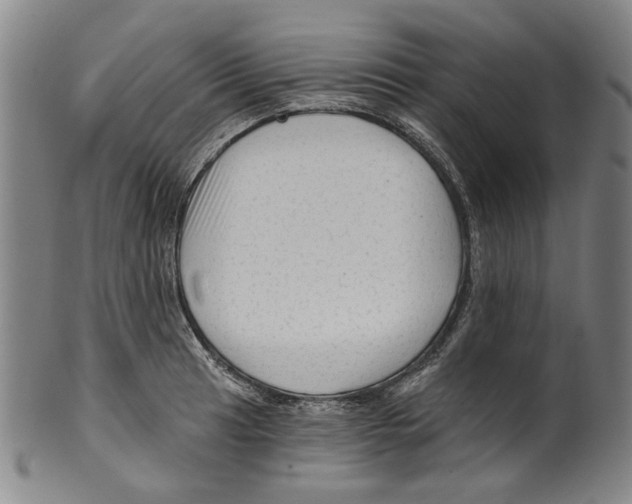 X0000099421041200806060950