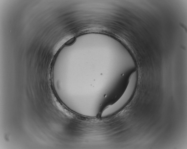 X0000099421042200806060950