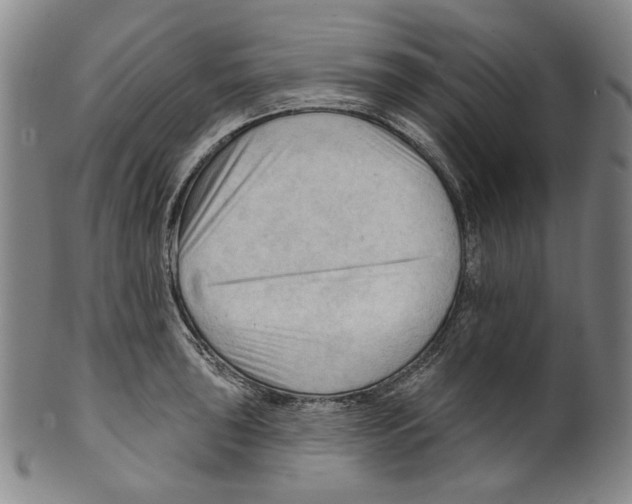 X0000099421043200806060950