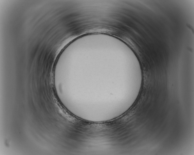 X0000099421044200806060950