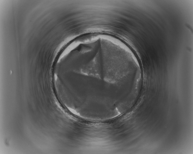 X0000099421045200806060950