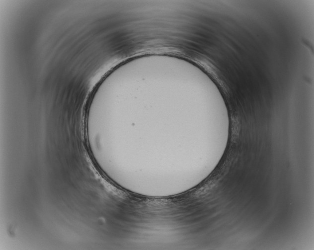 X0000099421046200806060950