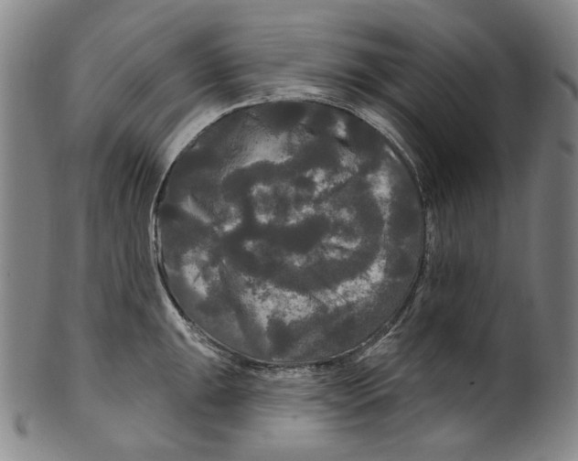 X0000099421047200806060950