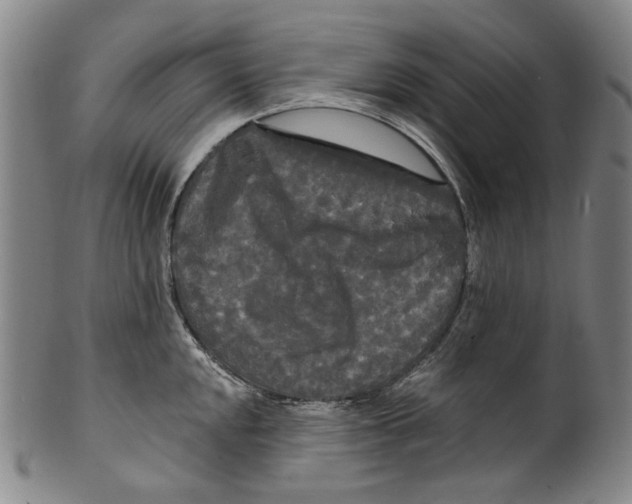 X0000099421048200806060950