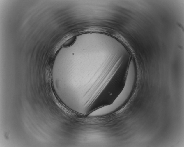X0000099421049200806060950