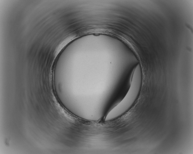 X0000099421050200806060950