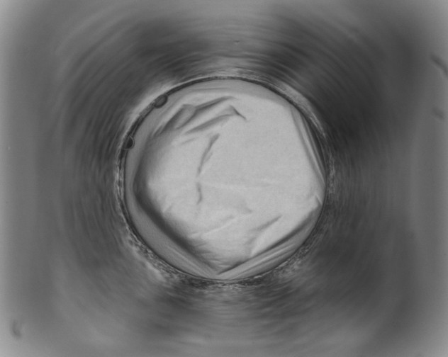 X0000099421051200806060950