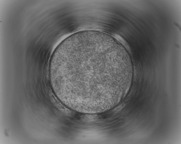 X0000099421052200806060950