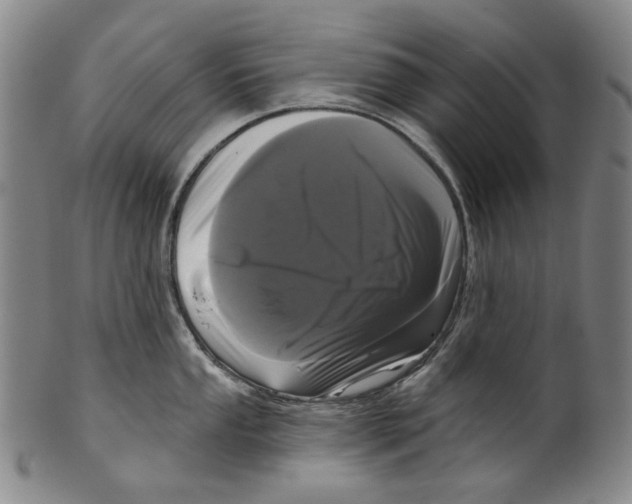 X0000099421053200806060951